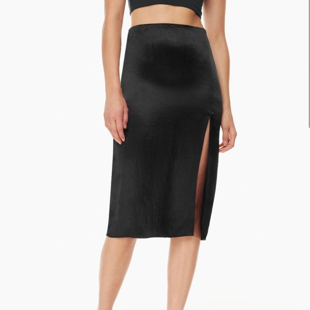 NWT Aritzia Babaton Eames skirt.